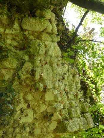 Chateau de fouet reste de mur r