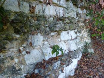 Chateau fouet mur cote nordr